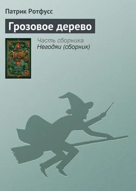 Патрик Ротфусс Грозовое дерево обложка книги
