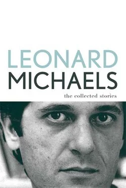 Leonard Michaels The Collected Stories обложка книги