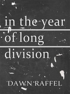 Dawn Raffel In the Year of Long Division обложка книги