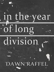 Dawn Raffel - In the Year of Long Division