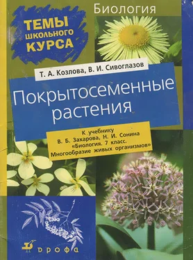 Татьяна Козлова Покрытосеменные растения обложка книги