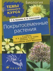 Татьяна Козлова - Покрытосеменные растения