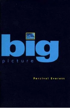 Percival Everett Big Picture: Stories обложка книги