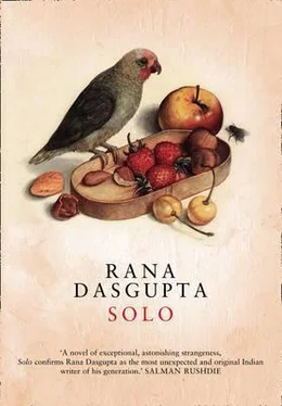 Rana Dasgupta Solo обложка книги