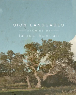 James Hannah Sign Languages обложка книги