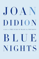 Joan Didion - Blue Nights