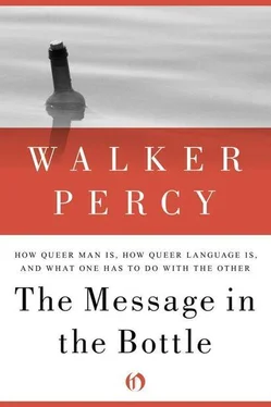 Walker Percy The Message in the Bottle: How Queer Man Is, How Queer Language Is, and What One Has to Do with the Other обложка книги