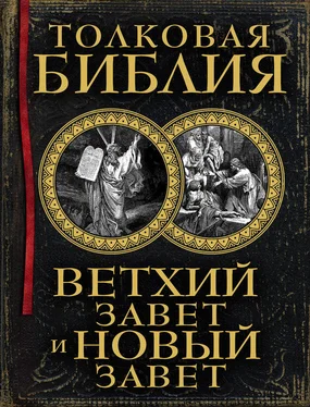Александр Лопухин Толковая Библия. Ветхий Завет и Новый Завет обложка книги