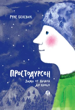 Руне Белсвик Простодурсен. Зима от начала до конца (сборник) обложка книги