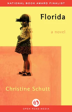 Christine Schutt Florida обложка книги