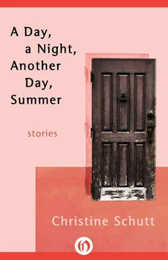 Christine Schutt A Day, a Night, Another Day, Summer: Stories обложка книги