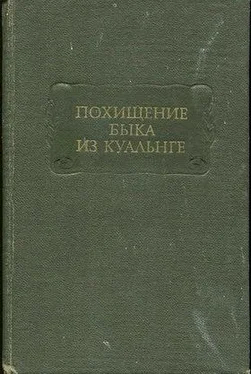 Т. Михайлова ПОХИЩЕНИЕ БЫКА ИЗ КУАЛЬНГЕ обложка книги