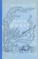 Н. Тарасов - Море живёт