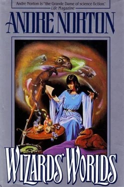 Andre Norton Were-Wrath обложка книги