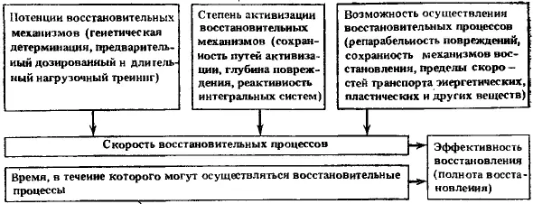 Рис 10 Факторы определяющие эффективность и полноту восстановления - фото 11