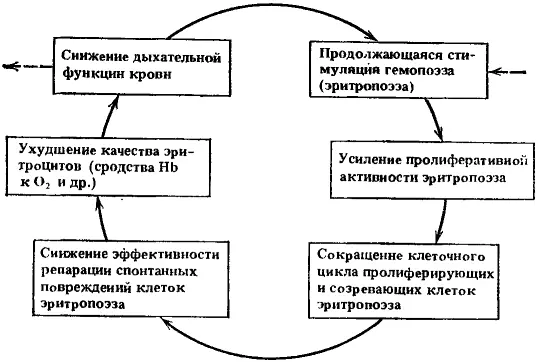 Рис 11 Схема четвертого порочного потенциально патогенетического круга - фото 12
