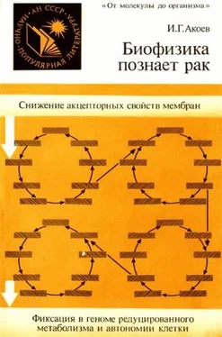 Инал Акоев Биофизика познает рак обложка книги