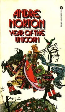 Andre Norton Year of the Unicorn обложка книги