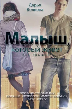 Дарья Волкова Малыш, который живет под крышей (СИ) обложка книги