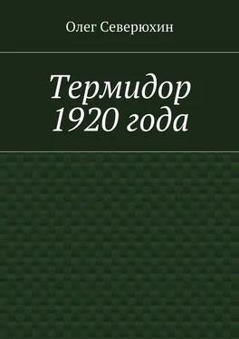 Олег Северюхин Термидор 1920 года обложка книги