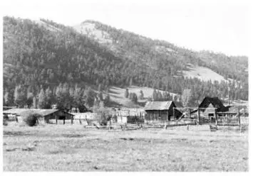 The era of the family farm has passed Our military recognizes this widening - фото 12