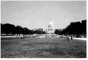 Governments never trust freedomloving independent citizens It seemed - фото 44