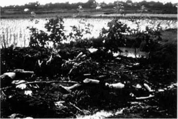 Citizens squashed by enemy armor at a watering area My list of vital services - фото 50