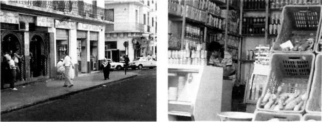 Downtown Algiers where the author wandered from shop to shop each day - фото 62