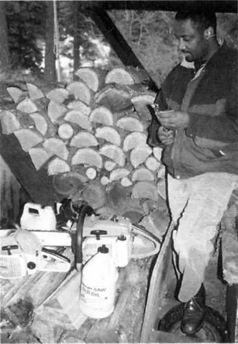 Firewood is a renewable resource for those who know how to gather and use it - фото 69