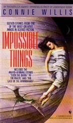 Connie Willis - Chance