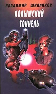 Владимир Шкаликов Колымский тоннель обложка книги