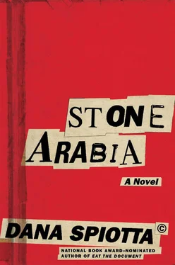 Dana Spiotta Stone Arabia обложка книги