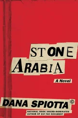 Dana Spiotta - Stone Arabia