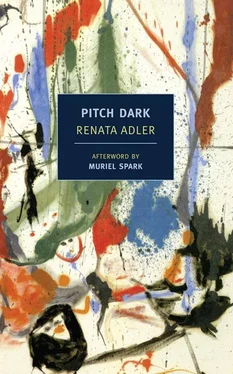 Renata Adler Pitch Dark обложка книги