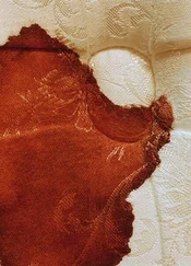 Сергей Носов - Проба