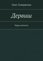 Олег Северюхин - Дервиш