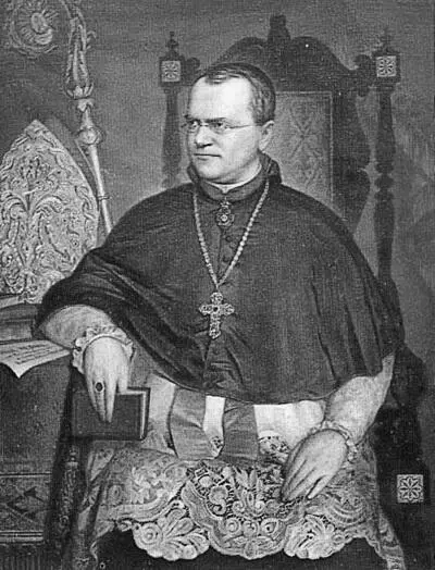 Грегор Иоганн Мендель 18221884 Основоположник генетики науки - фото 15