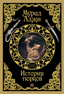 Мурад Аджи История тюрков обложка книги