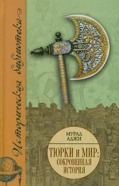 Мурад Аджи Тюрки и мир. Сокровенная история обложка книги