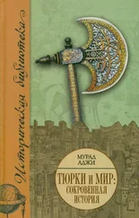 Мурад Аджи - Тюрки и мир. Сокровенная история