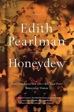 Edith Pearlman Honeydew: Stories обложка книги