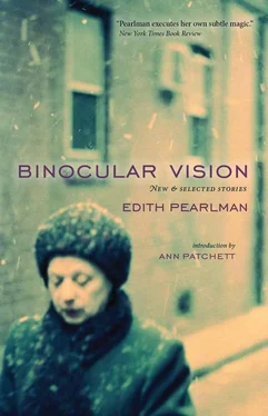 Edith Pearlman Binocular Vision: New & Selected Stories обложка книги