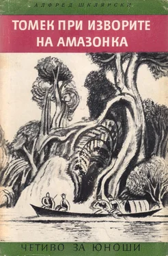 Алфред Шклярски Томек при изворите на Амазонка обложка книги