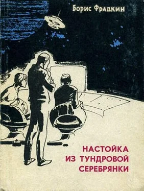 Борис Фрадкин Настойка из тундровой серебрянки обложка книги