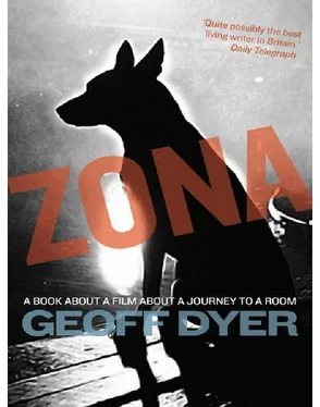 Geoff Dyer Zona: A Book About a Film about a Journey to a Room обложка книги