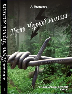 Александр Теущаков Путь Чёрной молнии обложка книги