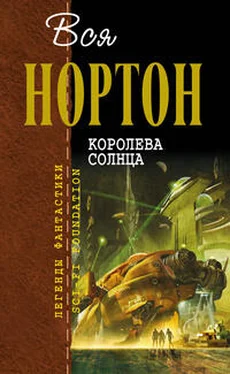 Андрэ Нортон Королева Солнца обложка книги