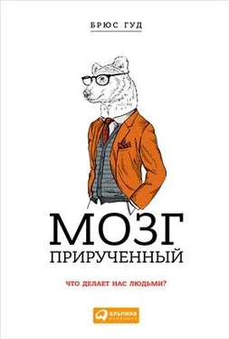 Брюс Гуд Мозг прирученный: Что делает нас людьми? обложка книги