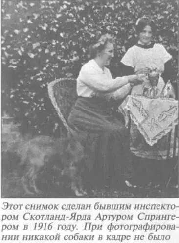 В целом же предположение об активной роли очевидца в процессе спонтанного - фото 1