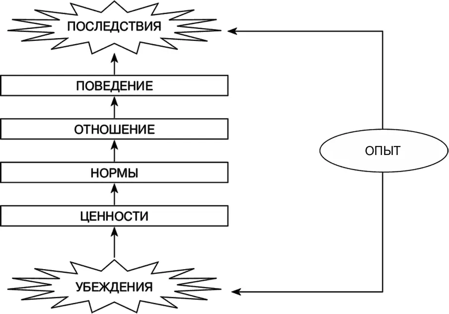 Рис 21 Цепочка убеждений и последствий Что такое нормы Ценности играют - фото 13